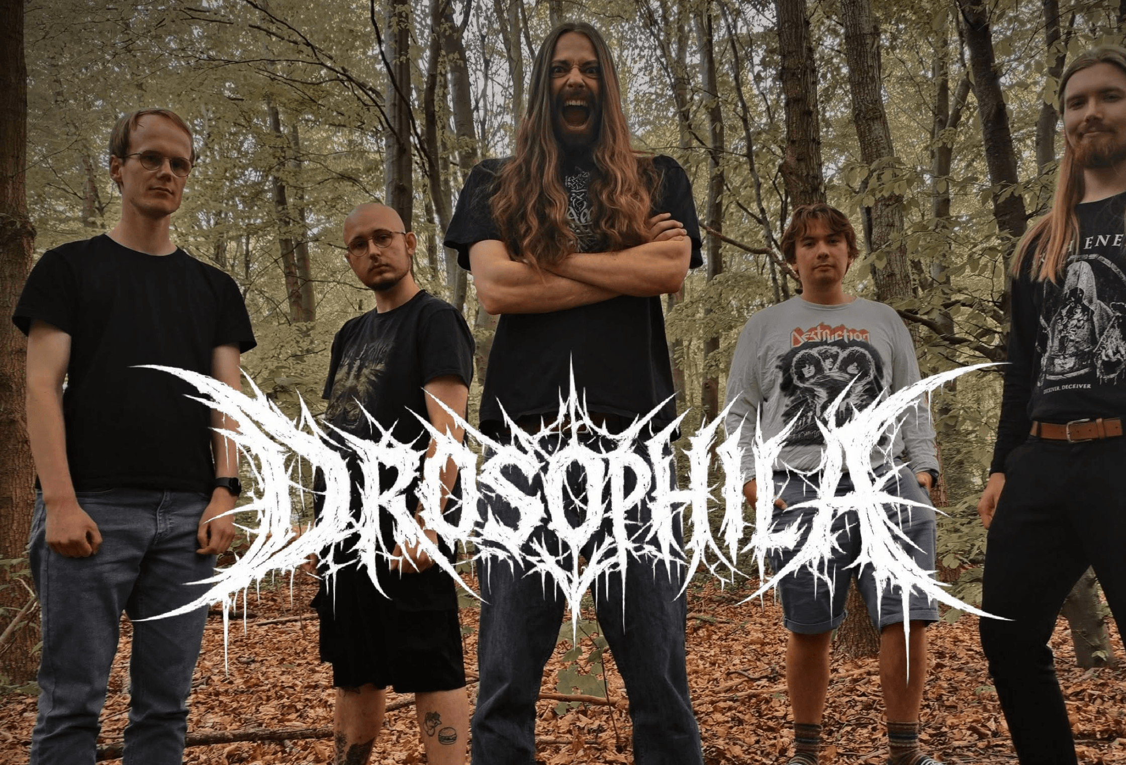 Drosophila